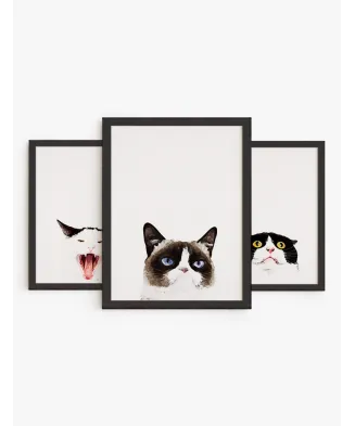 Colección Amor de Gatos