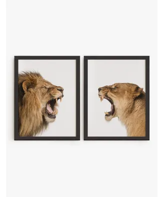 Set Cuadro Leones | Be Minimal