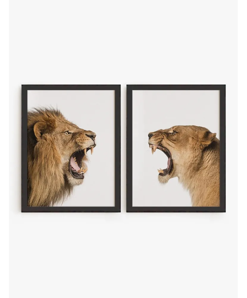 Set Cuadro Leones | Be Minimal