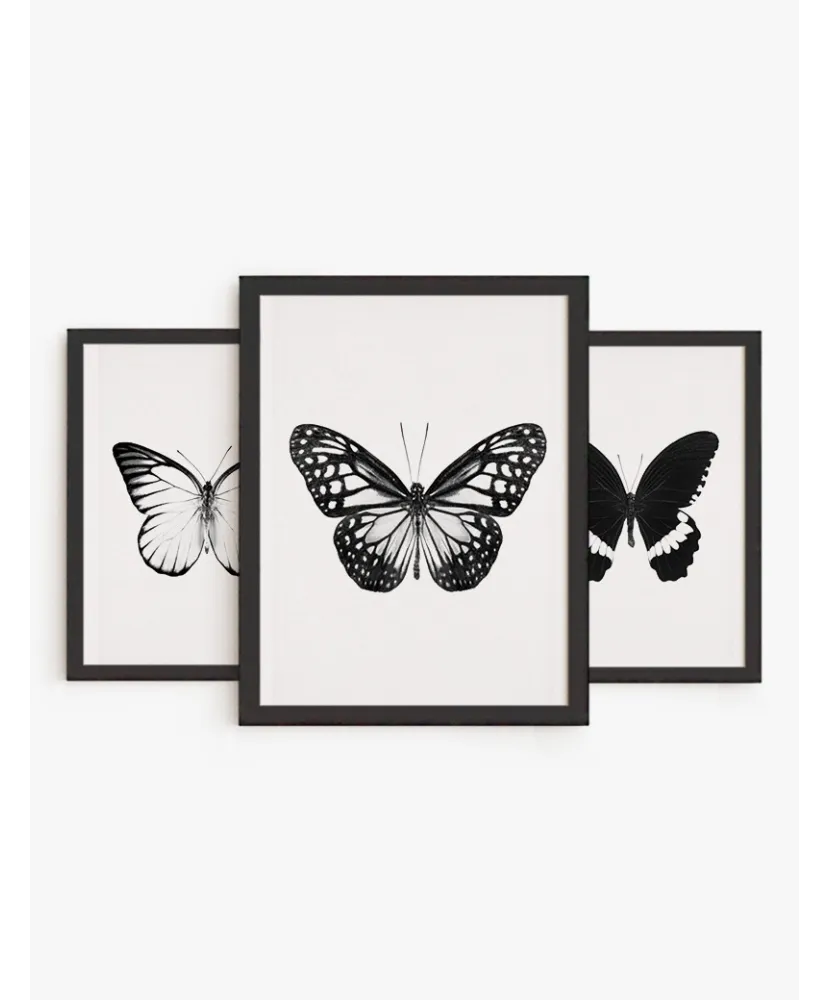 Set Cuadros Mariposas Blanco y Negro | Be Minimal