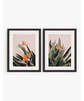 Set Cuadro Ave Paraíso | Be Minimal