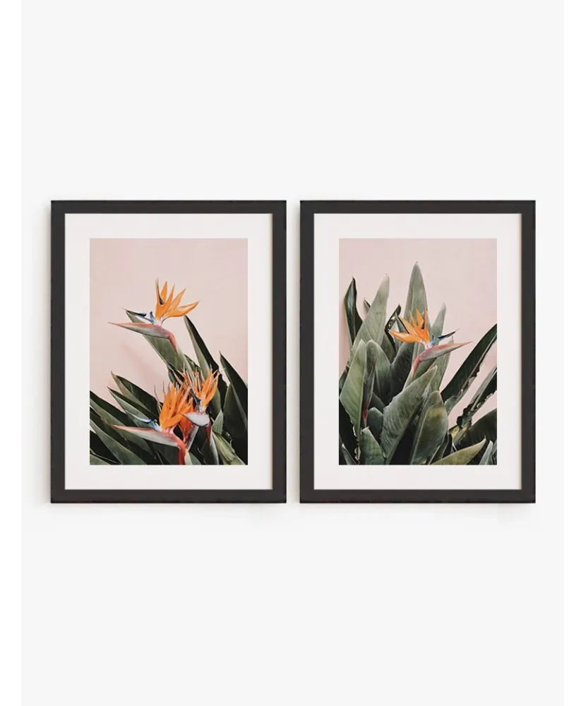 Set Cuadro Ave Paraíso | Be Minimal