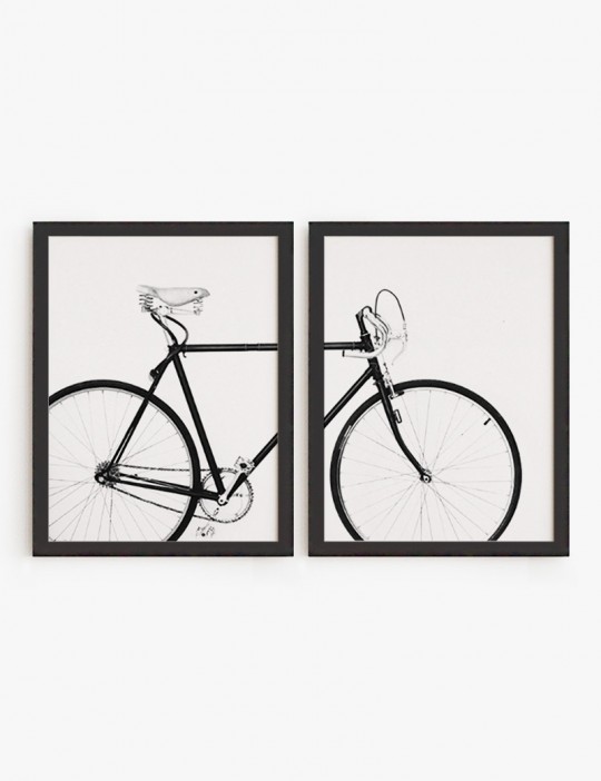 Set Bicicleta