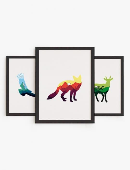 Colección Fauna Chilena