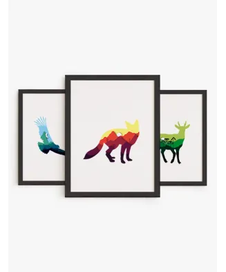 Colección Fauna Chilena
