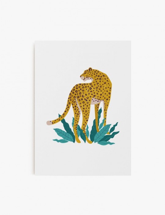 Cheetah