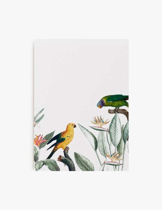 Tropical birds