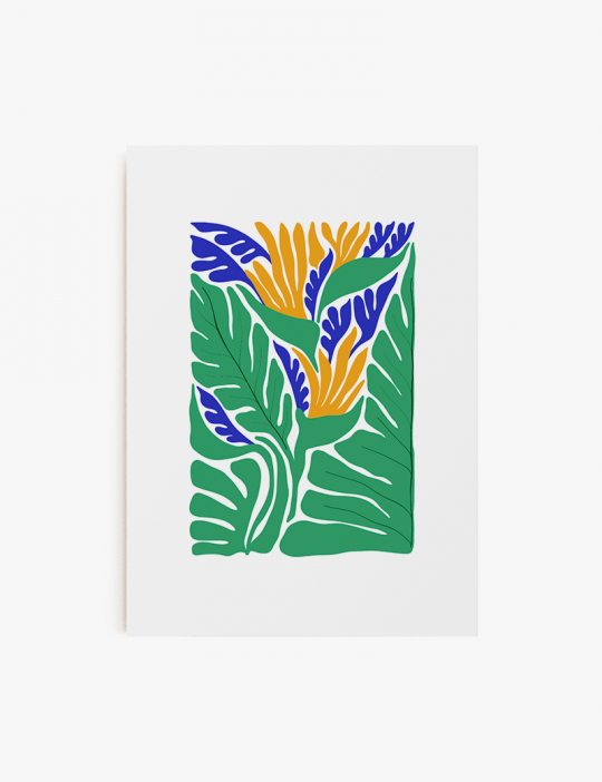 Matisse Tropical