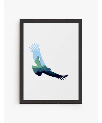 Cuadro Cóndor | Colección fauna Chilena | Be Minimal
