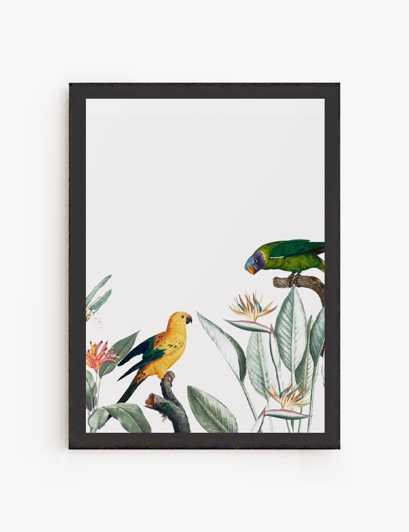Lámina impresa | Cuadro Tropical birds
