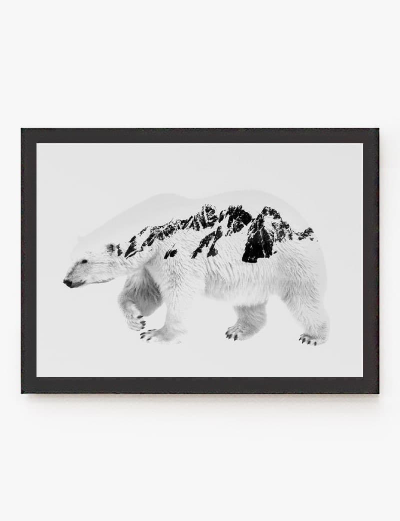 Lámina impresa | Cuadro Oso Polar
