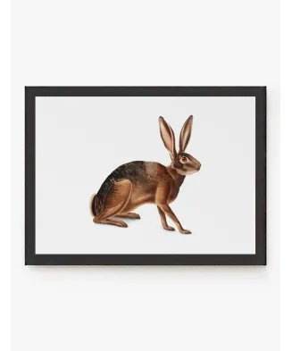 Cuadro Liebre | Be Minimal