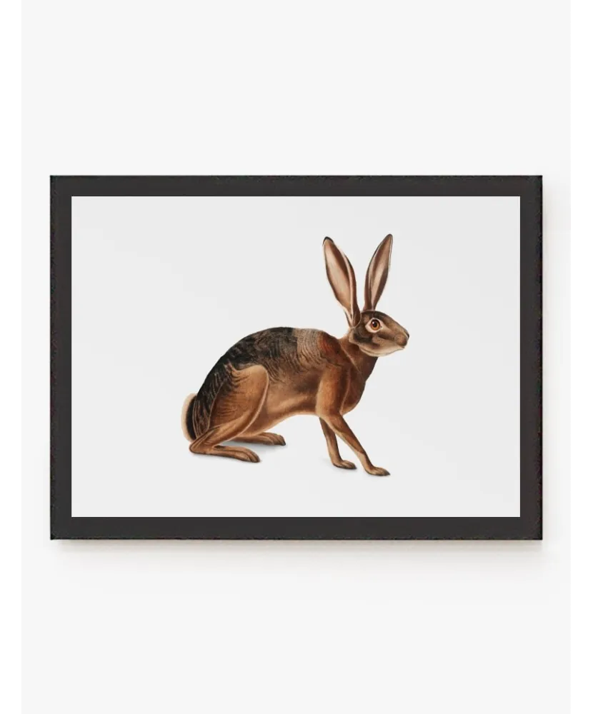 Cuadro Liebre | Be Minimal