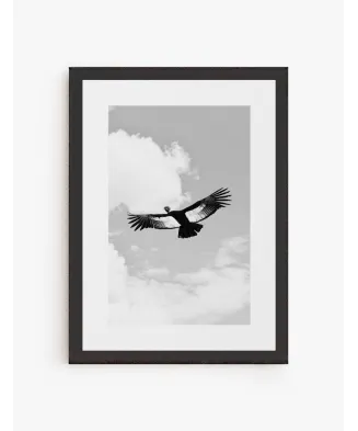 Cuadro Condor | Be Minimal