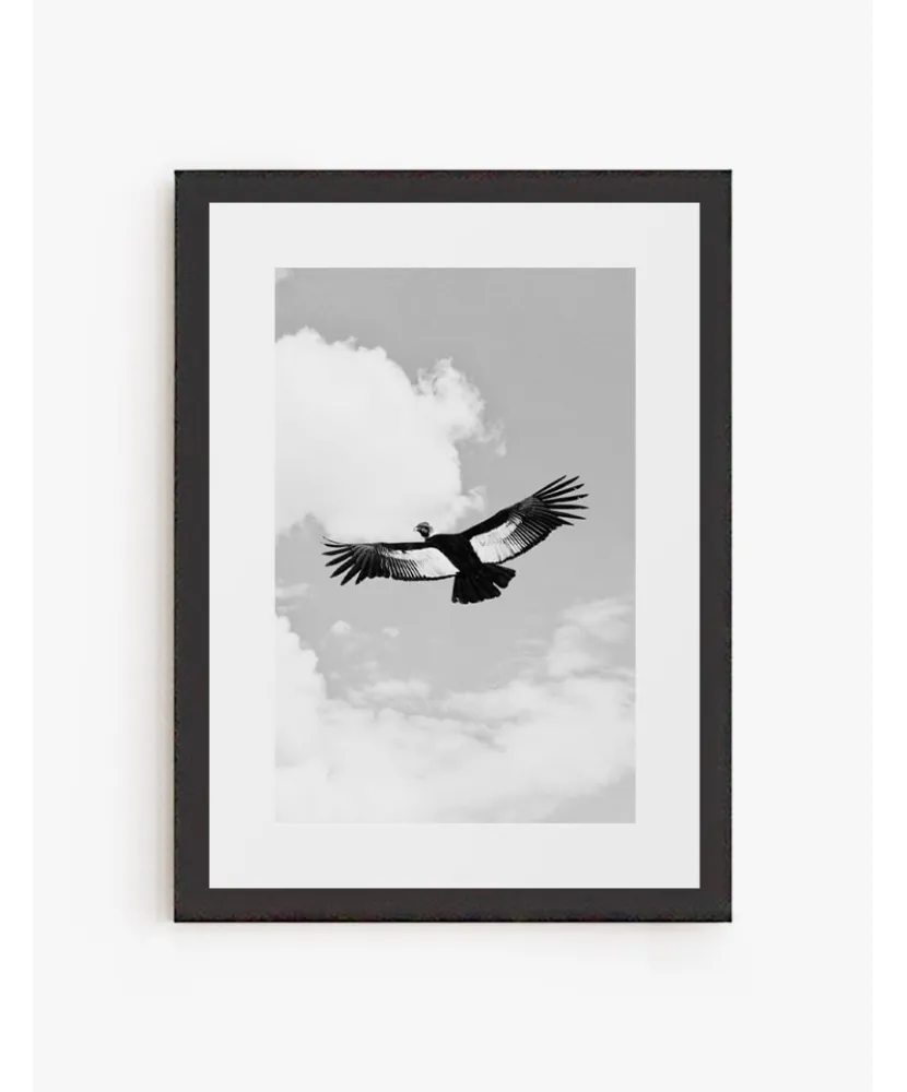 Cuadro Condor | Be Minimal