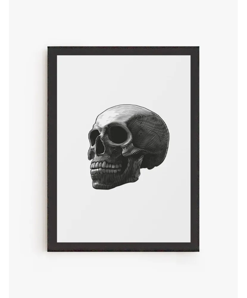 Cuadro Cráneo en líneas | Be Minimal