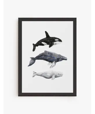 Cuadro Cetáceos | Be Minimal