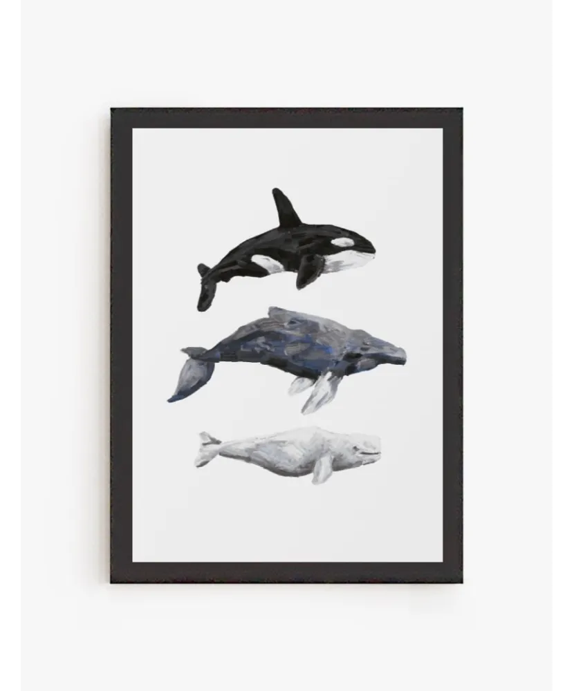 Cuadro Cetáceos | Be Minimal