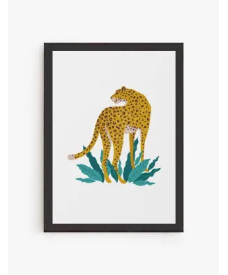 Cheetah