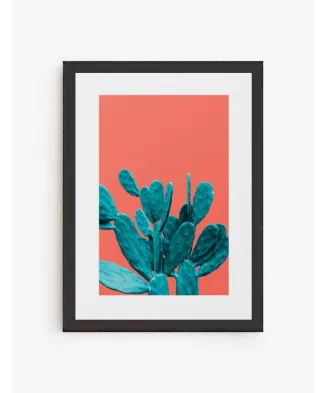 Cuadro Cactus Color 02 | Be Minimal