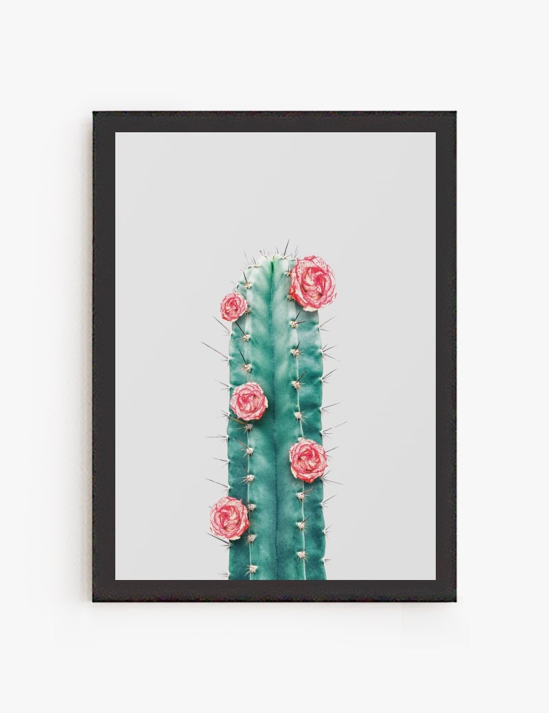 Lámina impresa | Cuadro Cactus y Flor 02