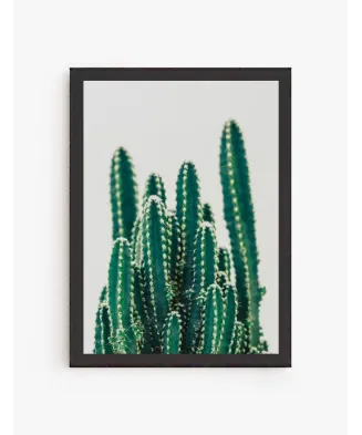 Cuadro Family Cactus | Be Minimal