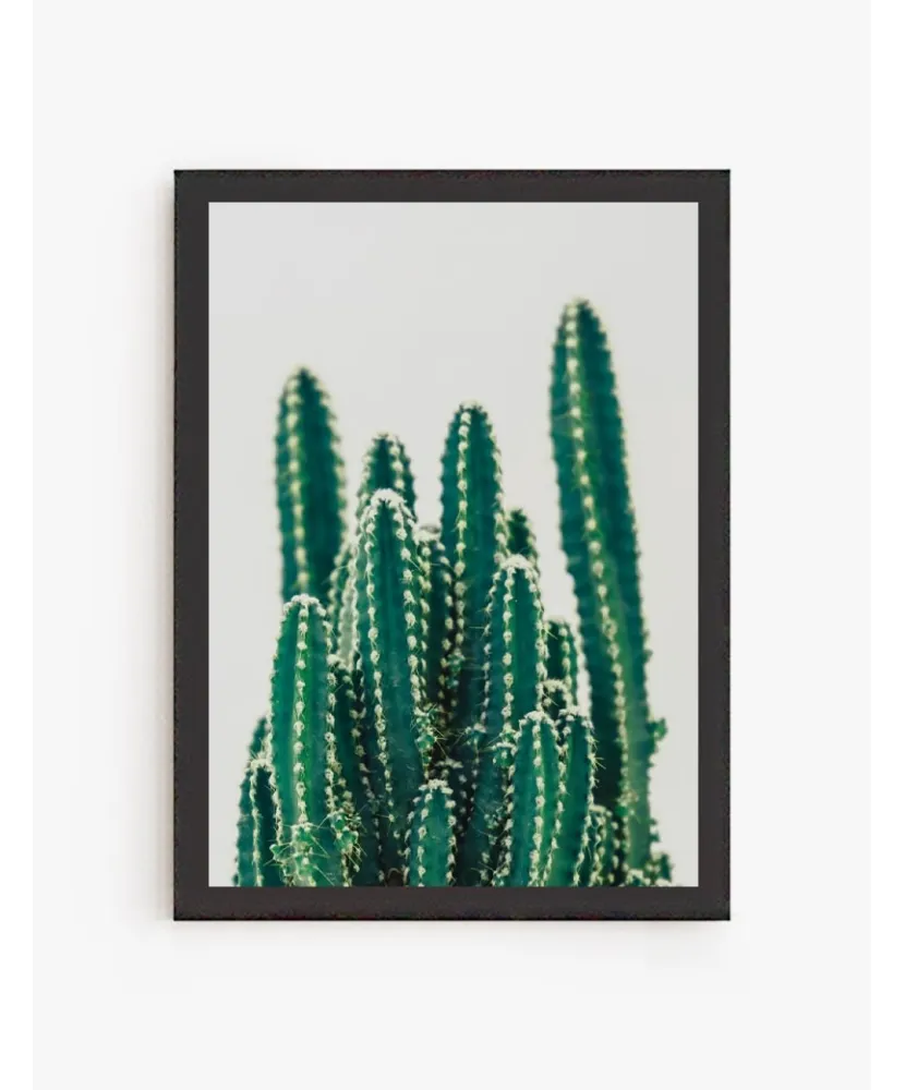 Cuadro Family Cactus | Be Minimal