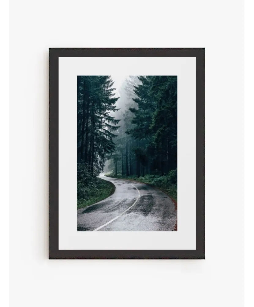 Cuadro Bosque | Be Minimal