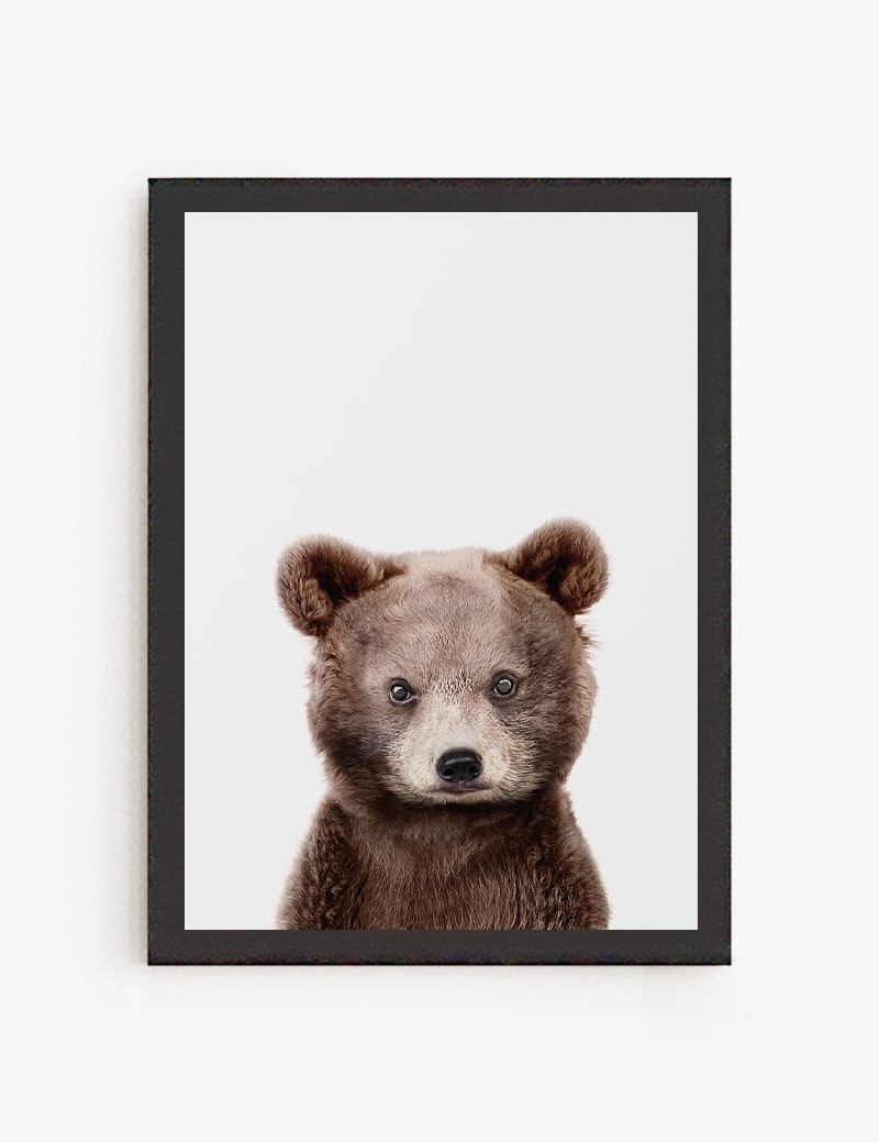 Lámina impresa | Cuadro Oso pardo