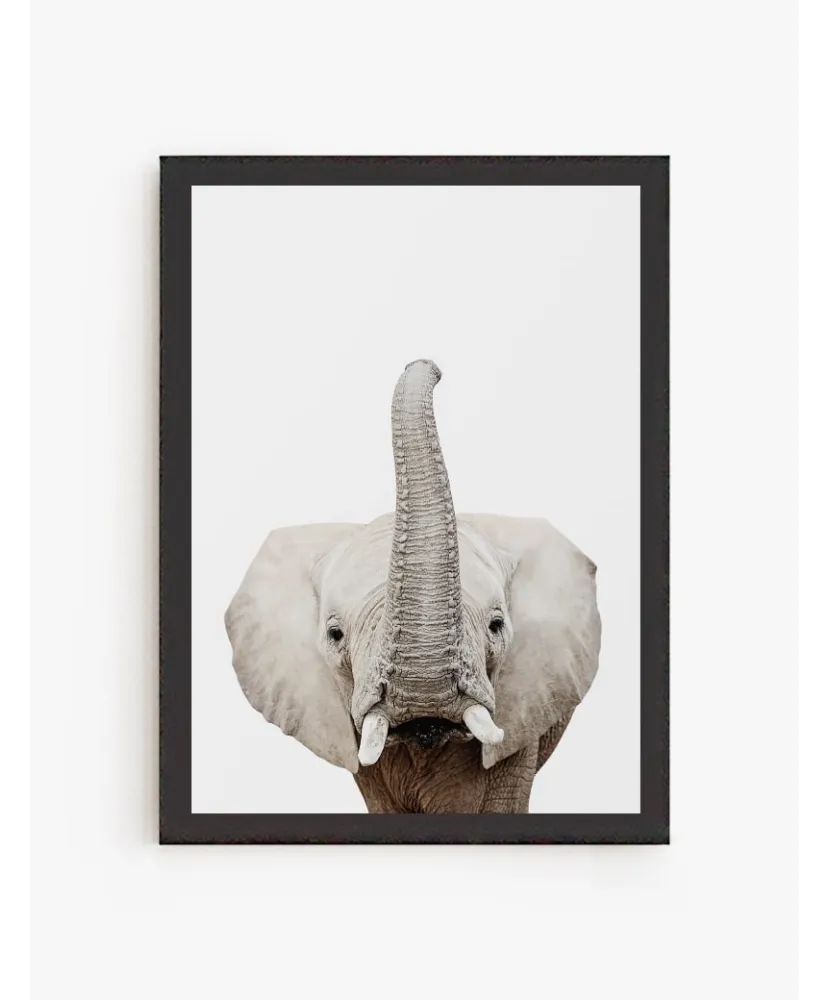 Cuadro Elefante | Be Minimal