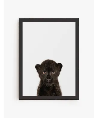 Cuadro Puma Bebe| Be Minimal