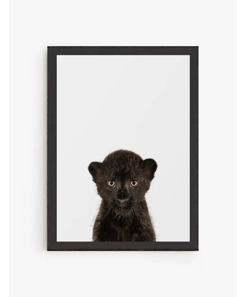 Cuadro Puma Bebe| Be Minimal