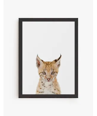 Cuadro Lince Bebe | Be Minimal