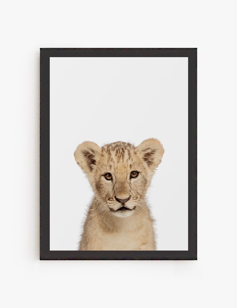 Lámina impresa | Cuadro León Bebe