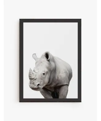 Cuadro Rinoceronte | Be Minimal