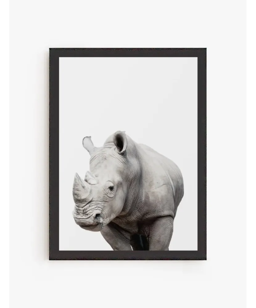 Cuadro Rinoceronte | Be Minimal