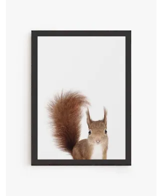 Cuadro Ardilla | Be Minimal