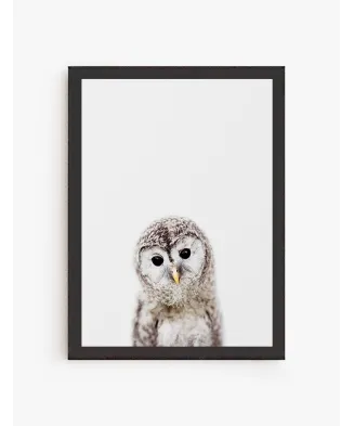 Cuadro Buho Salvaje | Be Minimal