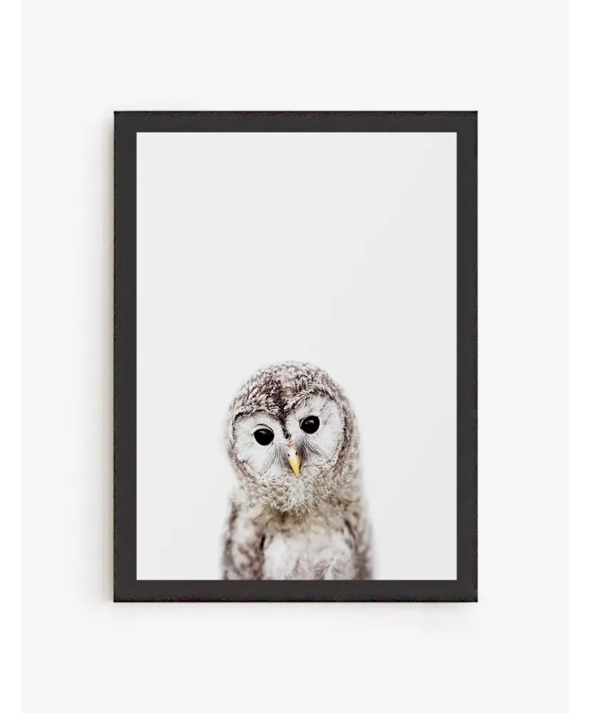 Cuadro Buho Salvaje | Be Minimal