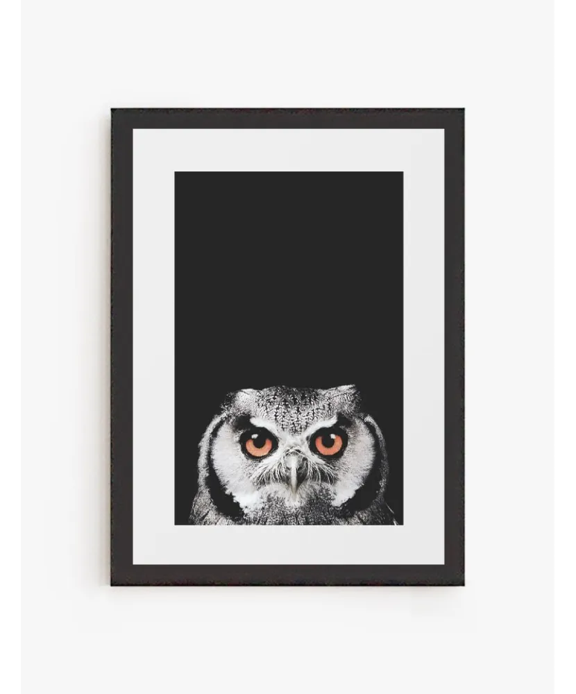 Cuadro Búho | Be Minimal