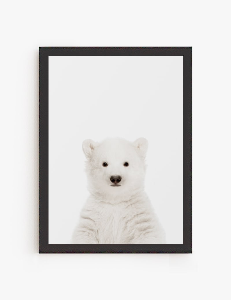 Lámina impresa | Cuadro Oso Polar Bebe