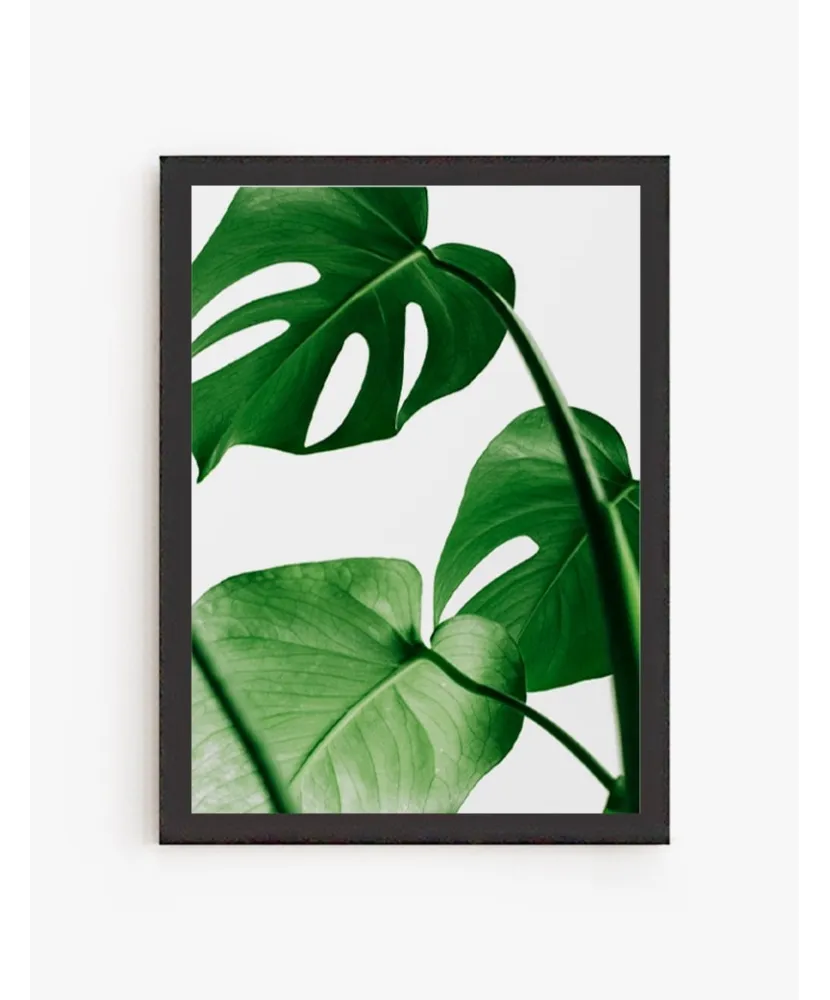 Cuadro Monstera | Be Minimal