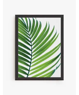 Cuadro Palmera Tropical | Be Minimal