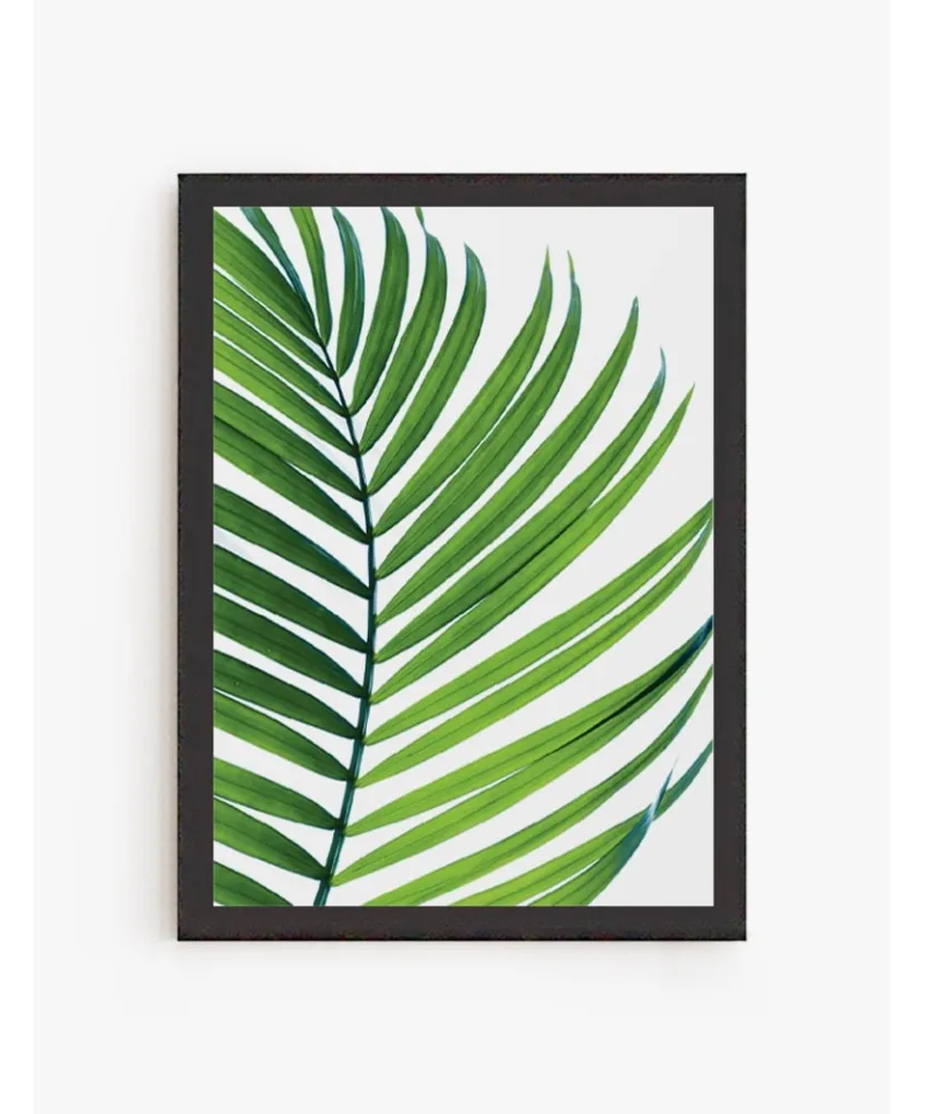 Cuadro Palmera Tropical | Be Minimal