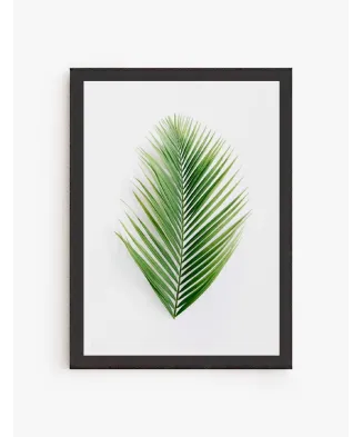 Cuadro Palma Tropical| Be Minimal