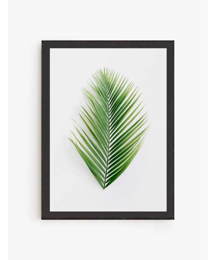 Cuadro Palma Tropical| Be Minimal