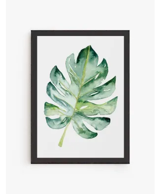 Cuadro Hoja Monserrat | Be Minimal