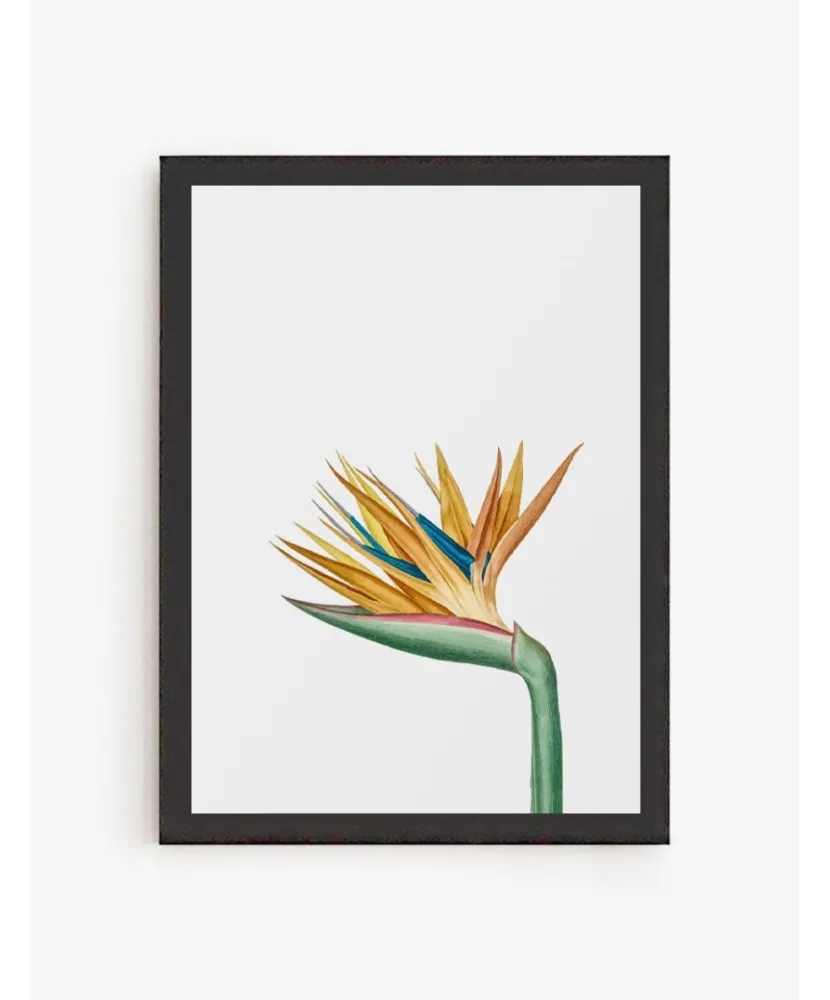 Cuadro Pico de Gallo | Be Minimal