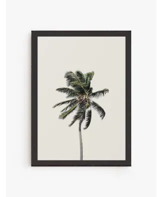 Cuadro Palmera | Be Minimal