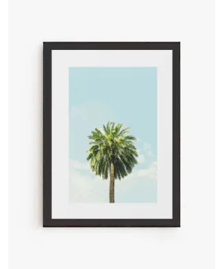 Palmera
